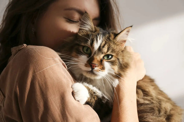 Des jouets pour animaux qui éveillent leur bonheur et leur instinct joueur