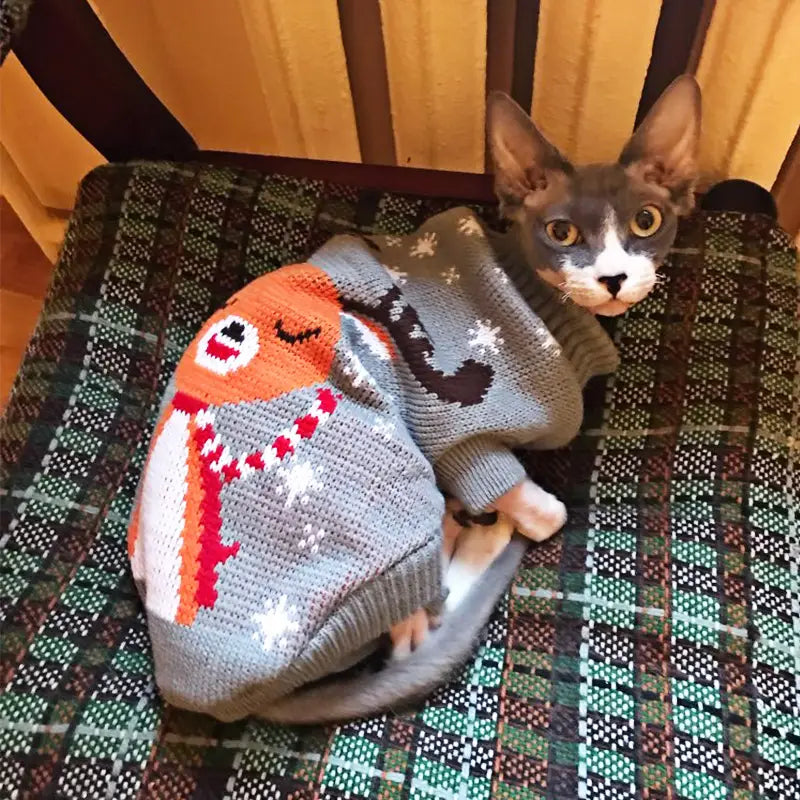 Vêtements d’hiver pour Chats et Petits Chiens
