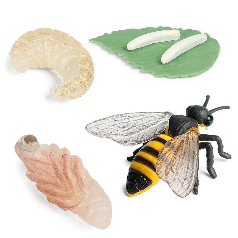 Figurines Pédagogiques Insecte Abeille Larve
