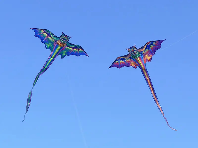Cerf-volant dragon 3D pour enfants