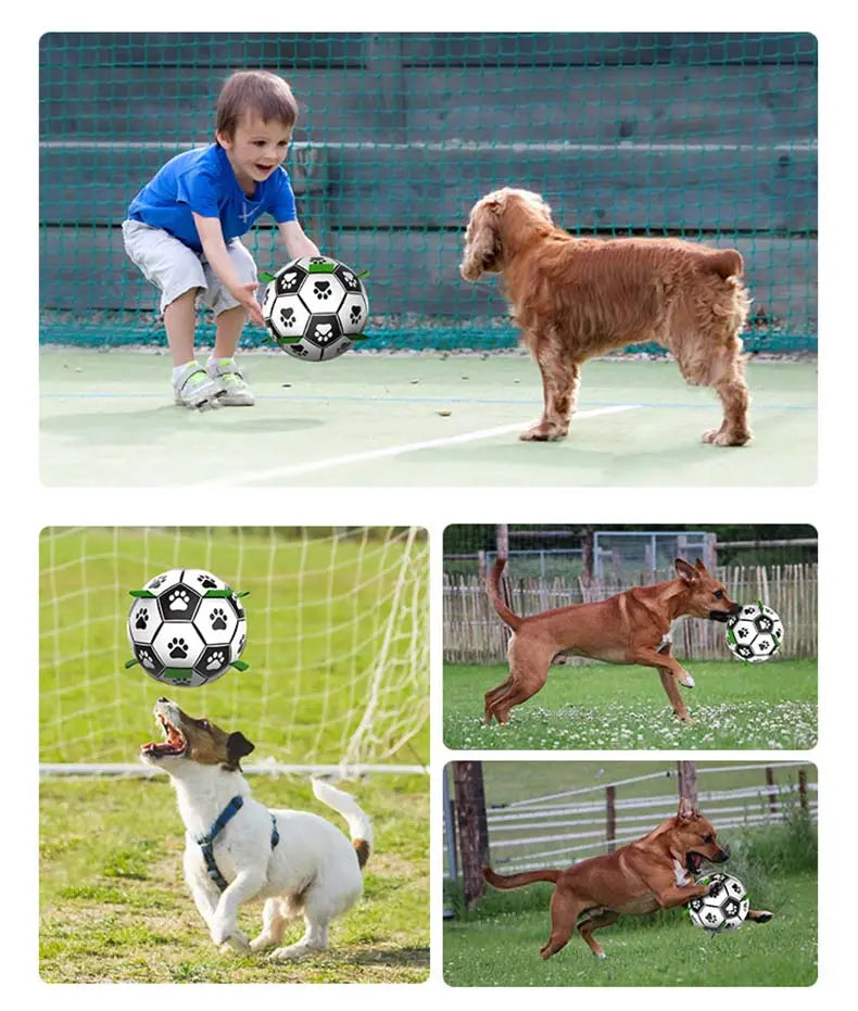 Jouets interactifs Ballon Football pour animaux