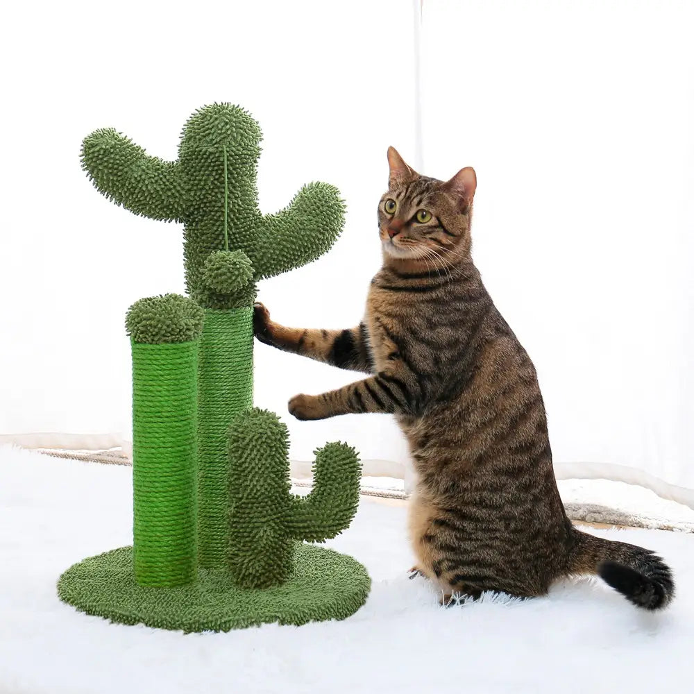Jouet Arbre à chat en forme de Cactus