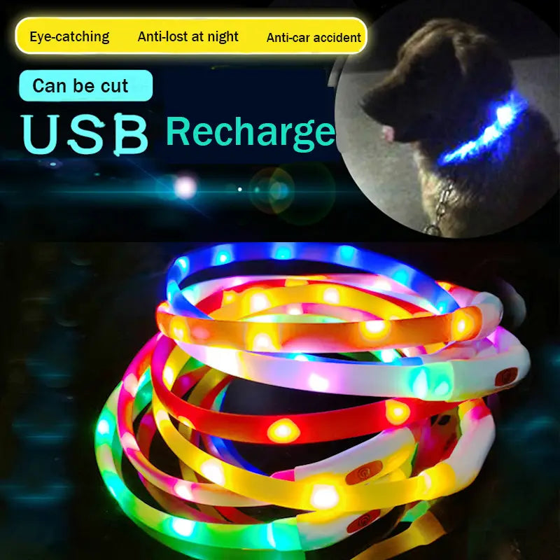 Collier Chien Led Silicone Rechargeable