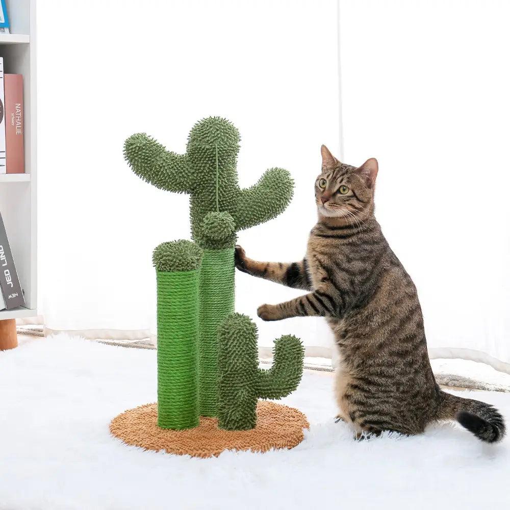 Jouet Arbre à chat en forme de Cactus