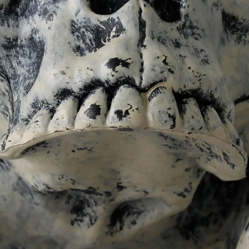 Décoration d’halloween squelette crâne