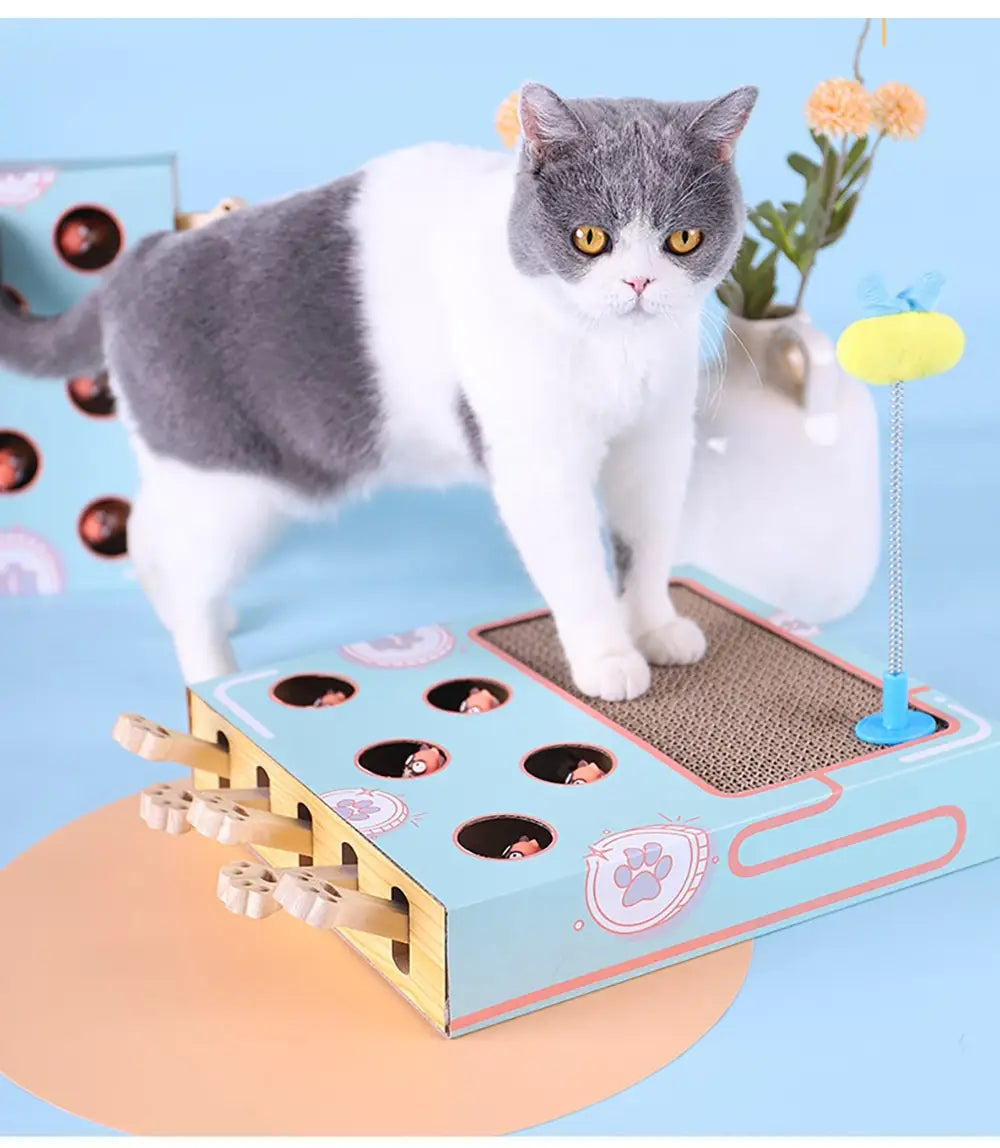 Planche à gratter et jouet interactif pour chat