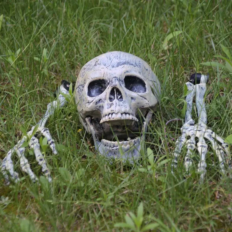 Décoration d’halloween squelette crâne
