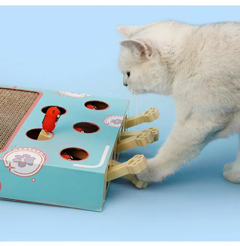 Planche à gratter et jouet interactif pour chat