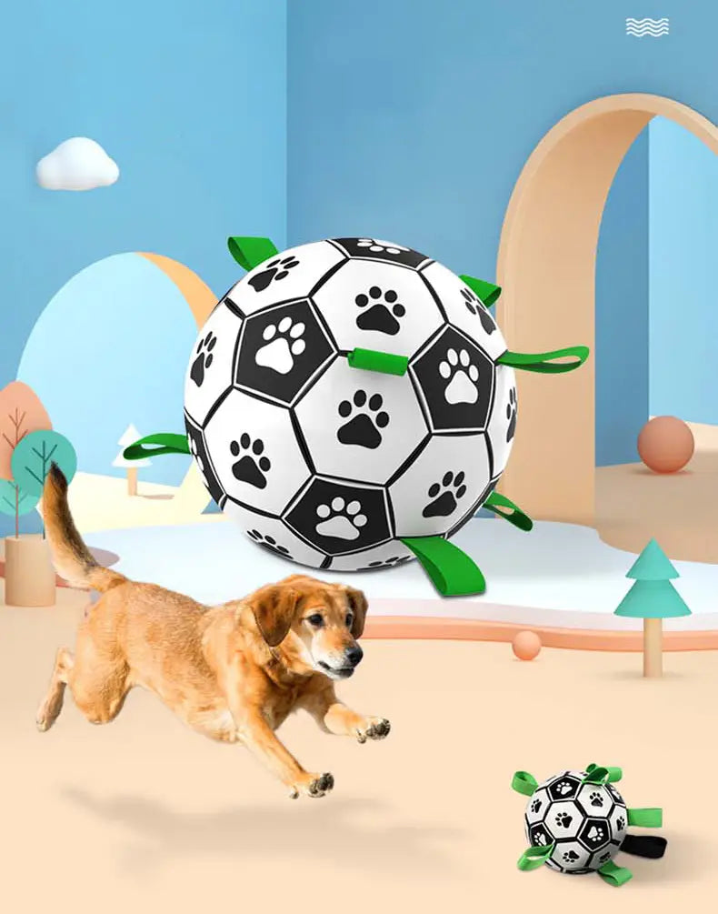 Jouets interactifs Ballon Football pour animaux