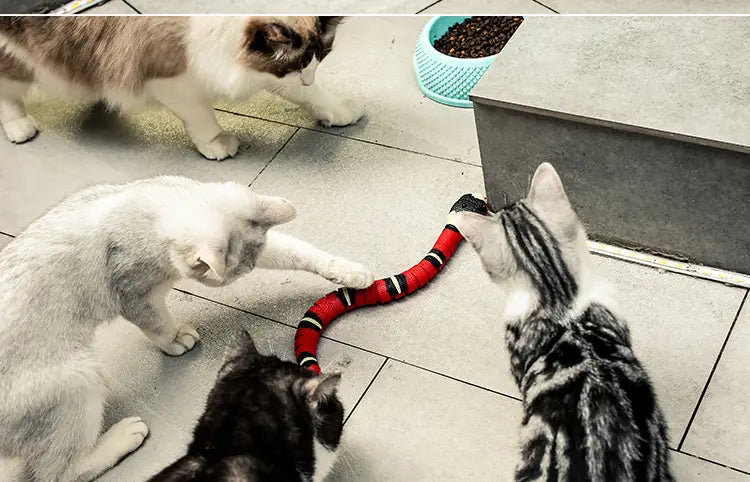 Jouets Serpent détection intelligente pour chats