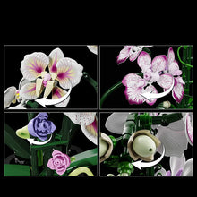 Orchidée décorative en briques de construction