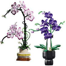 Orchidée décorative en briques de construction