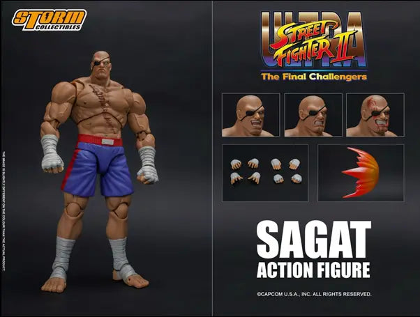 Figurine Street Fighter Ultra Sagat