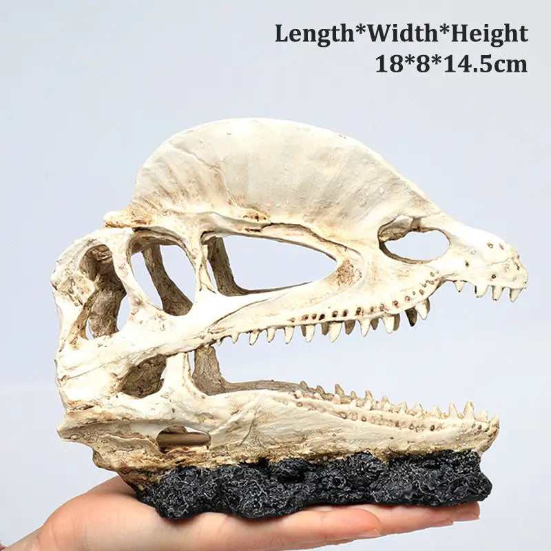 Crâne dinosaure Résine décorations d’aquarium
