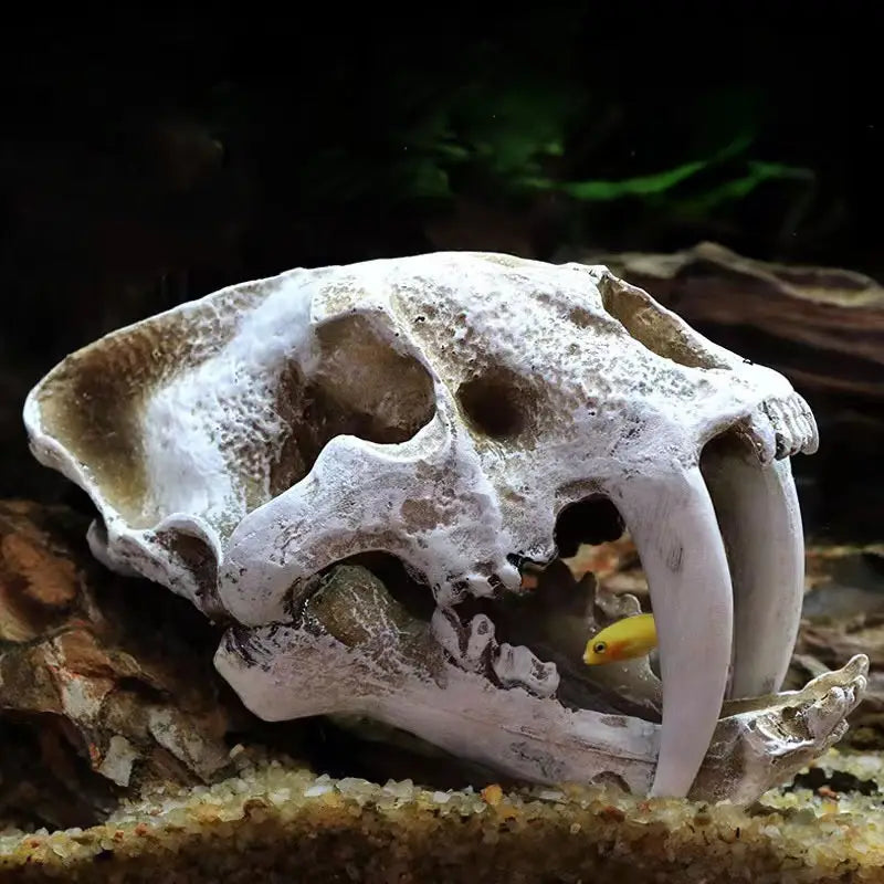 Crâne dinosaure Résine décorations d’aquarium
