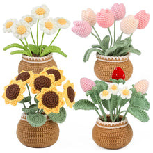 Peluche Crochet Pot de Fleurs