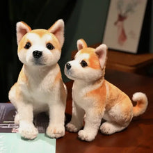 Deux peluches chien akita shiba de 25 ou 30 cm en fourrure douce orange et blanche avec yeux boutons noirs
