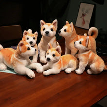 Peluche chien akita shiba orange et blanc avec fourrure douce yeux noirs boutons et détails cousus en peluche chien