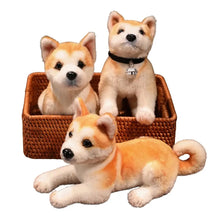 Trois peluches chien akita shiba de 25 ou 30 cm avec fourrure beige et blanche et collier noir avec clochette argentée
