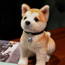 Peluche chien akita shiba orange et blanc avec collier noir et clochette argentée scintillante, 25 ou 30 cm