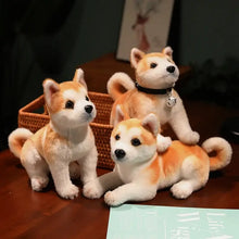 Trois peluches chien akita shiba en peluche avec fourrure beige et blanche et yeux noirs de 25 ou 30 cm