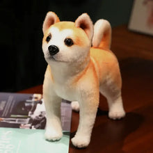 Peluche chien akita shiba tan et blanc en peluche douce avec yeux et nez noirs disponible en 25 ou 30 cm