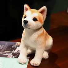 Peluche chien akita shiba de 25 ou 30 cm en peluche avec fourrure blanche et beige douce et yeux en bouton noirs