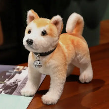 Peluche chien akita shiba tan et blanc avec collier noir et breloque clochette argentée de 25 ou 30 cm