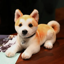 Peluche chien akita shiba orange et blanc avec nez noir et collier à clochette argentée 25 ou 30 cm