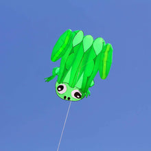 Cerf Volant 3D Grenouille - Enjouet