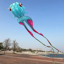 Cerf-volant poisson géant 3d turquoise et rose avec yeux rouges et blancs et queue de 10 m pour terrain dégagé