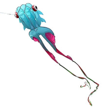 Cerf-volant poisson géant 3d bleu et rose avec yeux rouges et longue queue de 10 m idéal pour terrain dégagé