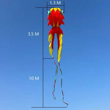 Cerf-volant poisson géant 3d rouge et jaune avec yeux teal et queue de 10 m idéal pour terrain dégagé