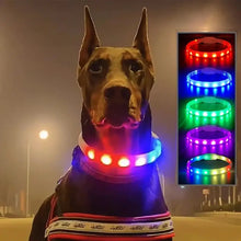 Collier Chien Led Silicone Rechargeable - Enjouet