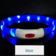 Collier Chien Led Silicone Rechargeable - Enjouet