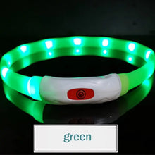 Collier Chien Led Silicone Rechargeable - Enjouet