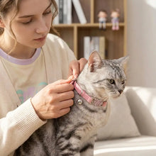 Collier pour chat cœur brillant en cuir rose avec clochette et breloque en forme de cœur scintillant