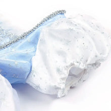 Costume Robe Bleue Princesse Cendrillon - Enjouet