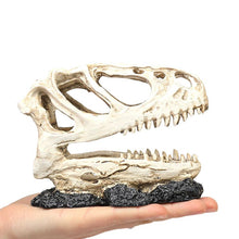 Crâne dinosaure Résine décorations d’aquarium - Enjouet