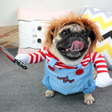 Déguisement Halloween Chucky pour Chien - Enjouet