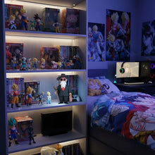 Figurine Dragon Ball Tortue Genial - Enjouet