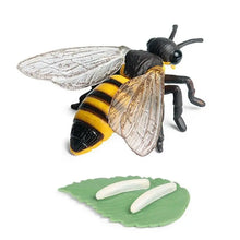 Figurines Pédagogiques Insecte Abeille Larve - Enjouet