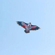 Grand cerf-volant en forme d’aigle - Enjouet