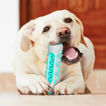 Jouet à mâcher Bâton dentition pour chien - Enjouet