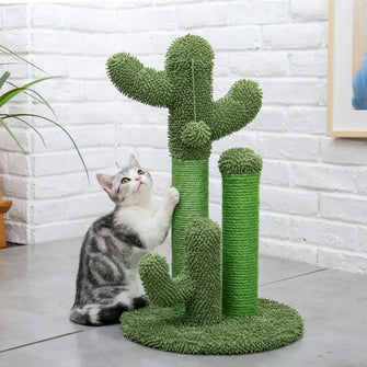 Jouet Arbre à chat en forme de Cactus - Enjouet