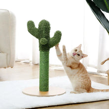 Jouet Arbre à chat en forme de Cactus - Enjouet