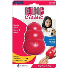 Jouet Kong Pour Chien - Enjouet