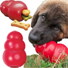 Jouet Kong Pour Chien - Enjouet