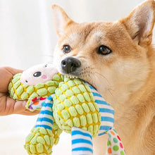 Jouet Peluche à mâcher pour animaux - Enjouet