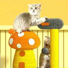 Jouet plate-forme de saut à gratter pour chat - Enjouet